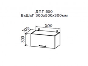 Шкаф верхний ДПГ500 горизонтальный в Дегтярске - degtyarsk.магазин96.com | фото