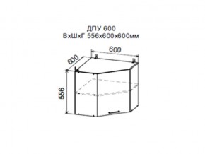 Шкаф верхний ДПУ600 угловой в Дегтярске - degtyarsk.магазин96.com | фото
